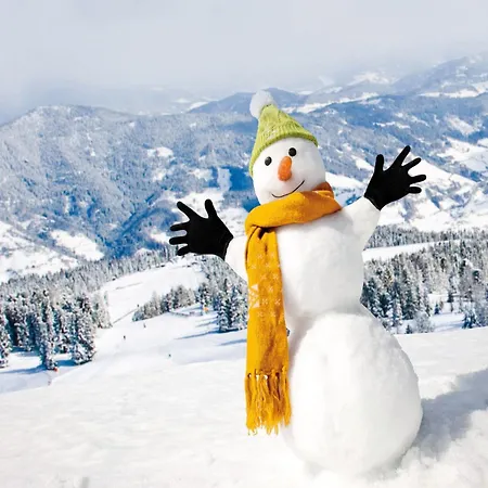 Beautiful Chalet In Sankt Georgen On Ski Slopes