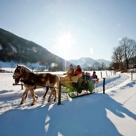 Beautiful Chalet In Sankt Georgen On Ski Slopes Chalet *